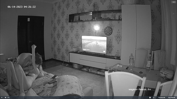 Ashampoo_Snap_mardi 13 juin 2023_23h27m56s_008_Living room camera at Edrym & Roza reallifecam apartment at Voyeur House TV (cam13) - Google Chrome