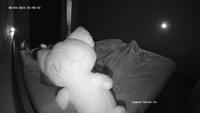 realm69-cam17-1722642641