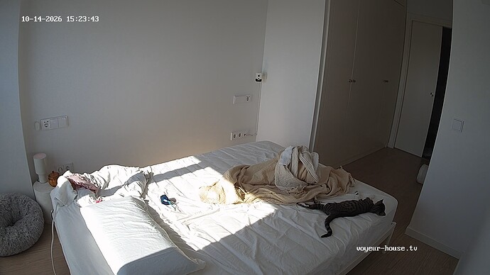 realm168-cam113-1791984259
