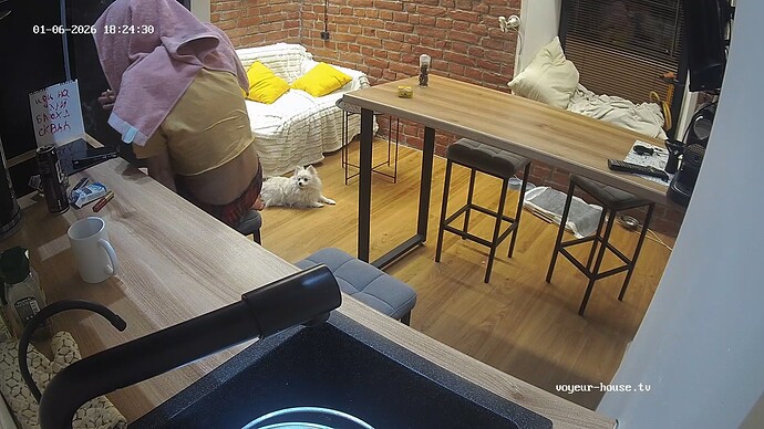 realm115-cam11-1767713107