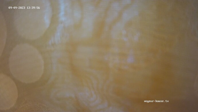 realm92-cam18-1694256029