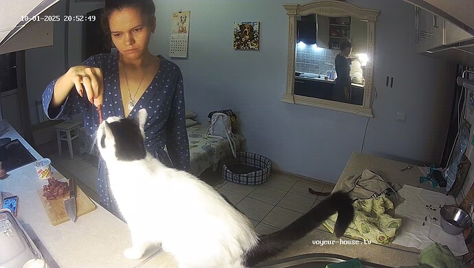 realm60-cam11-1759341215