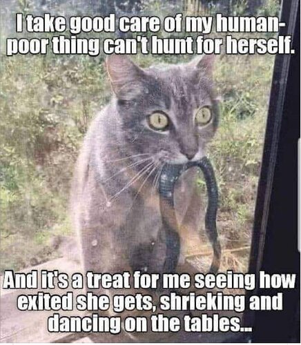 main-qimg-3b78a2b65c67cbe834f210f13f575bd0-lq