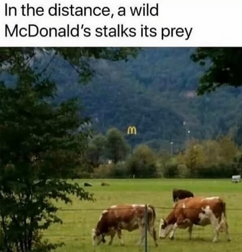 Wild McDonald
