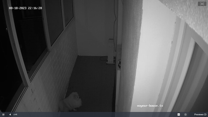 Noldus 2023-08-18 21-16-59-781