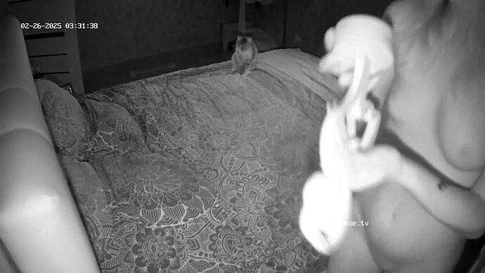 realm64-cam19-1740532018