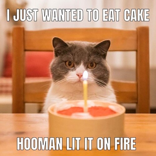 chair-just-wanted-eat-cake-hooman-lit-on-fire