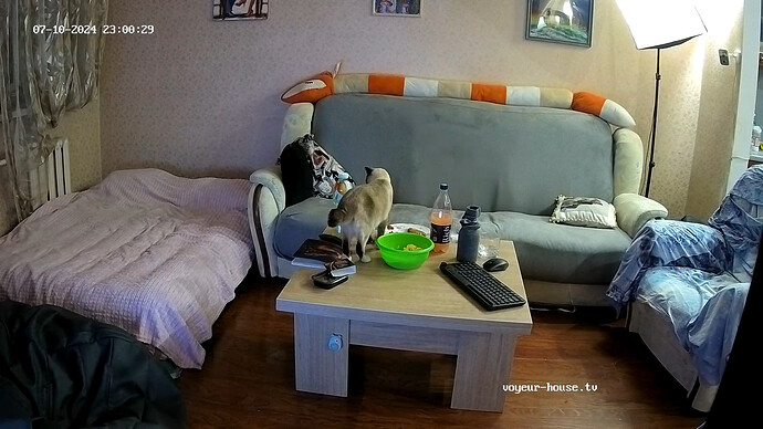 realm18-cam15-1720641671