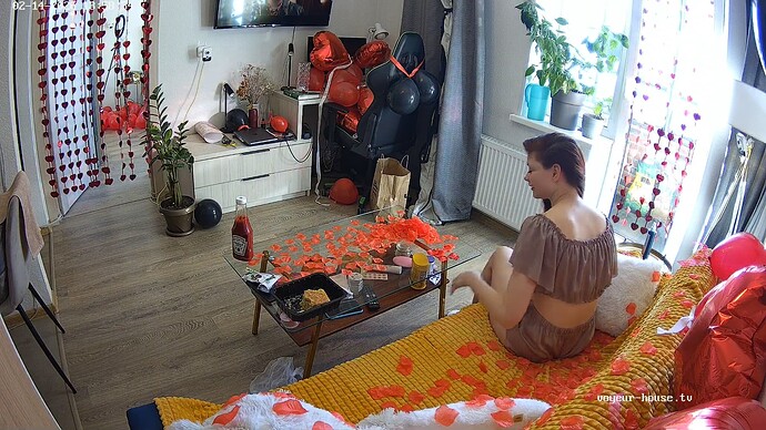 FoxyCarlos-20260214-01