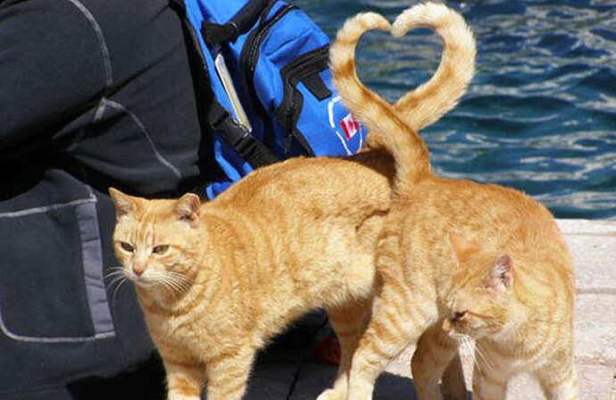 Article-Image-PerfectlyTimedPhotos-A-Perrfect-Love-Story-min