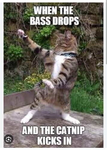 main-qimg-1f629e01bb4e4de84bfe194562284a45