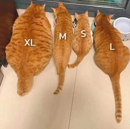 Love comes in all shapes and sizes