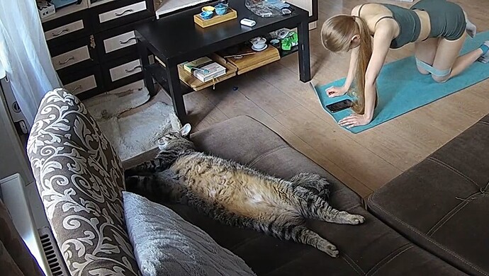 realm7-cam15-1716223219