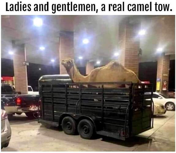 FB_IMG_1714092491250