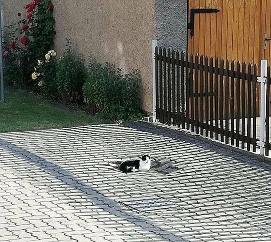 main-qimg-5d7141c528292a99e6e747812c337d48