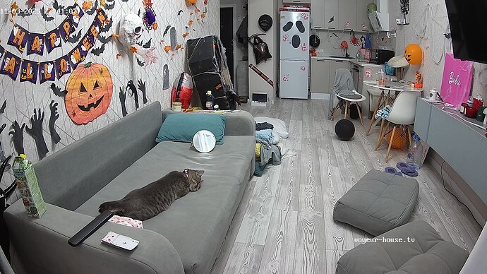 realm56-cam14-1762198905