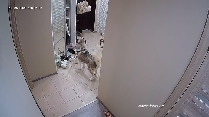 realm62-cam111-1703589096