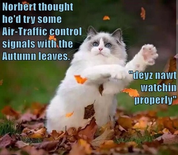 main-qimg-ef72aa285d4ea9a3ee80ceac37d91885