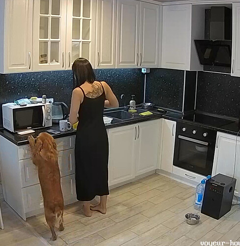 Screenshot 2023-08-11 at 14-43-59 Kitchen camera at Flora reallifecam apartment at Voyeur House TV (cam11)