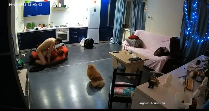 Image_2023_10_15_23_35_35_299