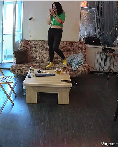 Screenshot 2023-06-29 at 12-58-14 Living room camera at Henry reallifecam apartment at Voyeur House TV (cam13)