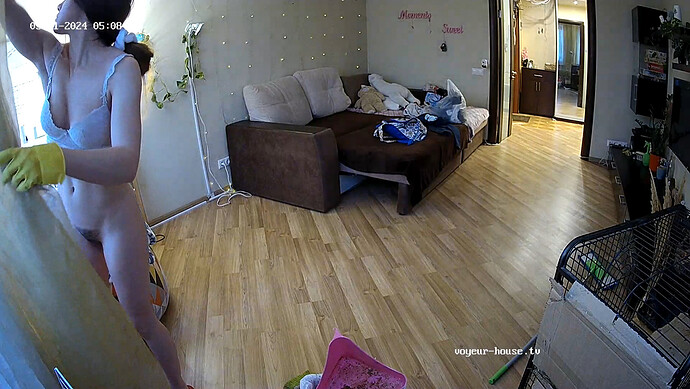 realm37-cam15-1715393604