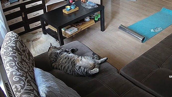 realm7-cam15-1716222385