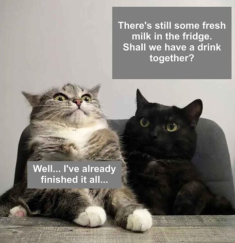 CATS