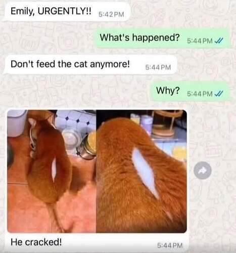 545421069_10230762659635542_1892661670085515462_n