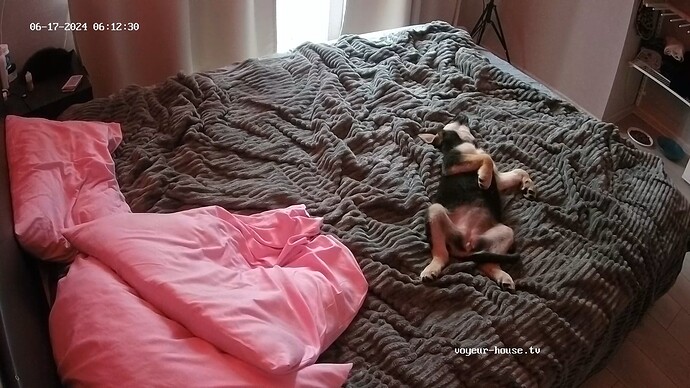 realm27-cam17-1718595071