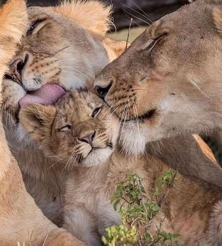 main-qimg-b2e74ef0c8dc76118844861a5634b28b-lq