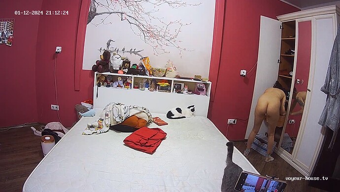 realm60-cam16-1705114380