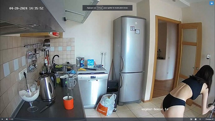 Ashampoo_Snap_samedi 20 avril 2024_10h36m21s_005_Kitchen camera at Tonk, Alexander & Martha reallifecam apartment at Voyeur House TV (cam11) - Google Chrome