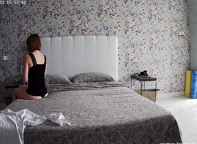 Screenshot 2023-06-05 at 08-58-20 Guest bedroom camera at Sophia Elon Claudia reallifecam apartment at Voyeur House TV (cam110)