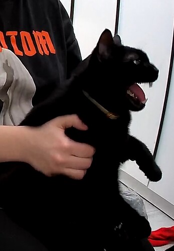 Screenshot 2025-12-10 172842