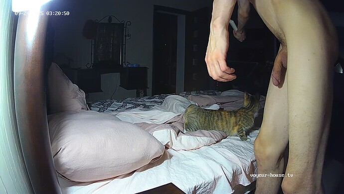 realm64-cam17-1758676924