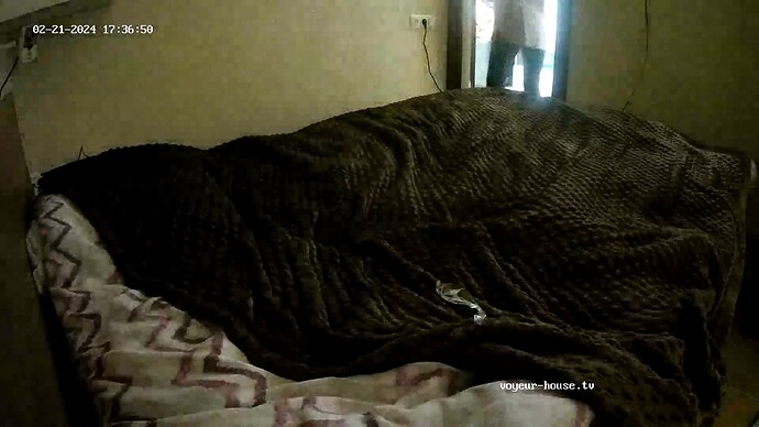 realm87-cam17-1708522696