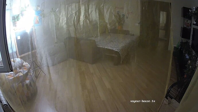 realm37-cam15-1717791309