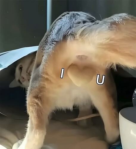 IOY