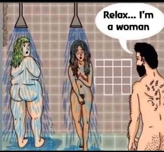 Afbeelding van WhatsApp op 2023-08-13 om 12.12.2