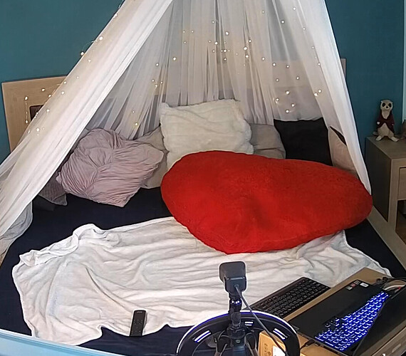 Screenshot 2023-06-02 at 03-47-14 Guest bedroom camera at Sophia Elon Claudia reallifecam apartment at Voyeur House TV (cam110)
