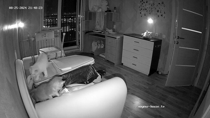 are they causing trouble