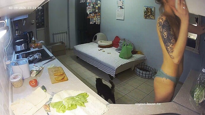 realm60-cam11-1771532524