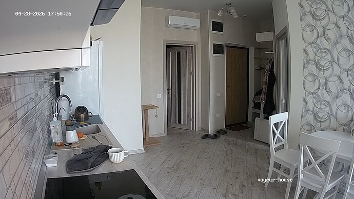 Noldus 2026-04-28 16-54-54-512