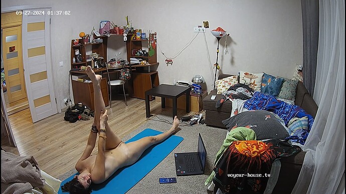 Ashampoo_Snap_vendredi 27 septembre 2024_0h37m28s_016_Living room camera at Camille reallifecam apartment at Voyeur House TV (cam15) - Google Chrome