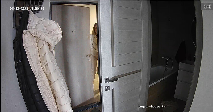 Screenshot 2023-05-13 at 12-57-24 Guest bedroom camera at Sophia Elon Claudia reallifecam apartment at Voyeur House TV (cam110)