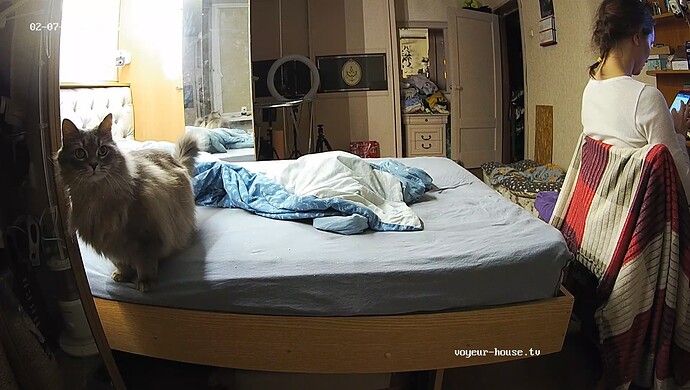 realm75-cam17-1770496711