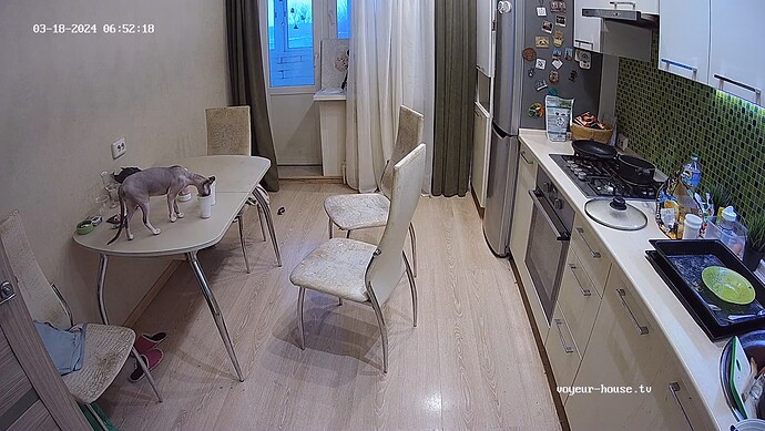 realm62-cam12-1710738260