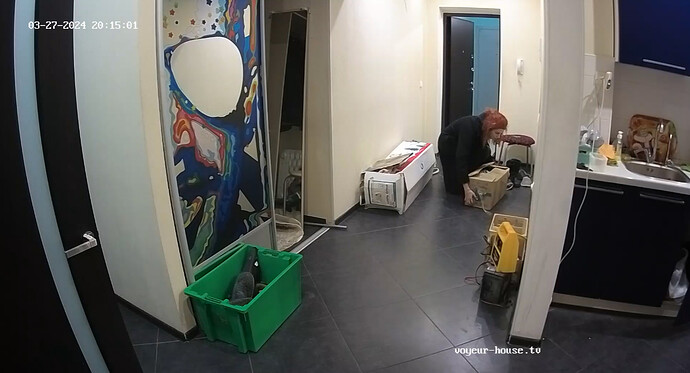 bandicam 2024-03-27 17-28-00-724