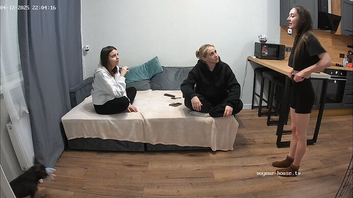 Ashampoo_Snap_samedi 12 avril 2025_21h4m50s_017_Living room camera at Lyalya reallifecam apartment at Voyeur House TV (cam15) - Google Chrome
